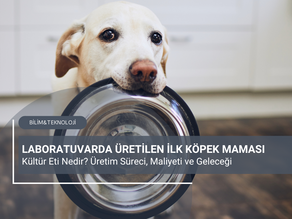 Laboratuvarda Üretilen Köpek Maması: Kültür Eti Nedir? Üretim Süreci, Maliyeti ve Geleceği