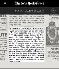 Tarihin En Tuhaf Hava Savaşı: Kartallar ve Leylekler Neden Çatıştı?