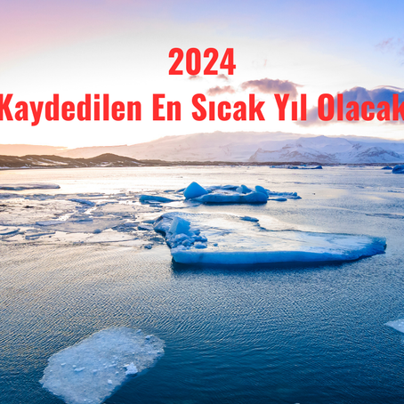2024, Kaydedilen En Sıcak Yıl Olacak
