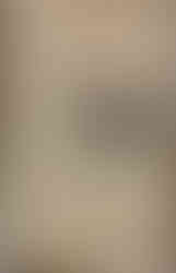 Tarihin En Tuhaf Hava Savaşı: Kartallar ve Leylekler Neden Çatıştı?