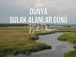 2 Şubat Dünya Sulak Alanlar Günü