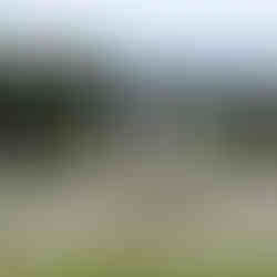 Seferihisar: Türkiye'nin İlk Sakin Şehir Temsilcisi