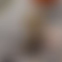 İstanbul’un Göbeğinde Görünmez Tehdit: Çam Kese Tırtılları