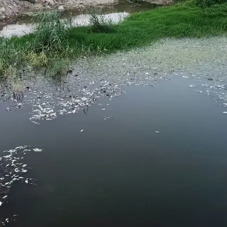 Nilüfer Çayı Alarm Veriyor