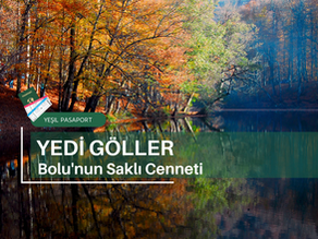 Yedigöller Milli Parkı: Bolu'nun Saklı Cenneti