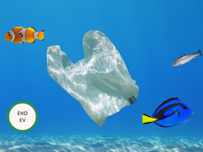 Plastik Alışveriş Poşetlerini Çöpe Atmayın! Evde ve Dışarıda 7 Akıllı Yeniden Kullanım Yolu