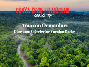 Amazon Ormanları: Dünyanın Ciğerlerine Vurulan Darbe
