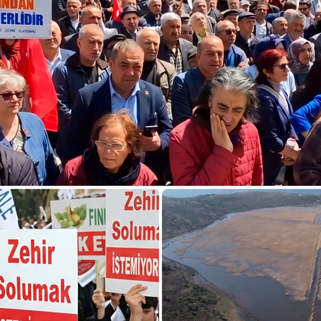 11-17 Mayıs Yeşil Bülten: Türkiye'nin Dört Bir Yanında Doğa ve Yaşam Mücadelesi