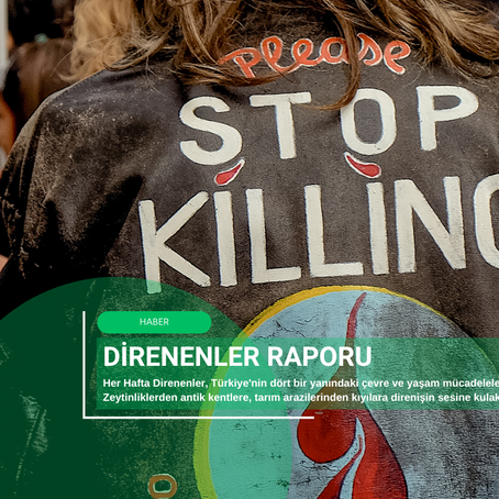 Direnenler Raporu: 2025-Hafta 5