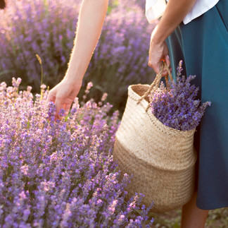 Seferihisar: Türkiye'nin İlk Sakin Şehir Temsilcisi