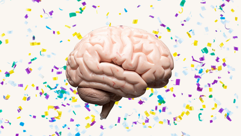 Beynimizdeki Sessiz İstila: Mikroplastikler Hakkında Bilmeniz Gereken 5 Sarsıcı Gerçek