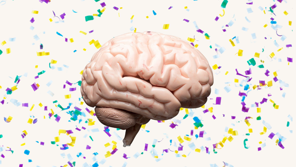 Beynimizdeki Sessiz İstila: Mikroplastikler Hakkında Bilmeniz Gereken 5 Sarsıcı Gerçek