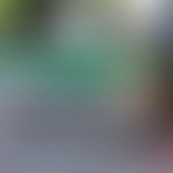 Yeni Yönetmelik Taslağında Sıra Kedilerde mi?