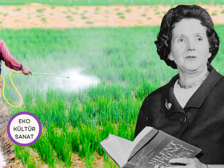 Sessiz Bahar: Rachel Carson'ın Uyandığı Kâbus ve Gezegenin Çığlığı