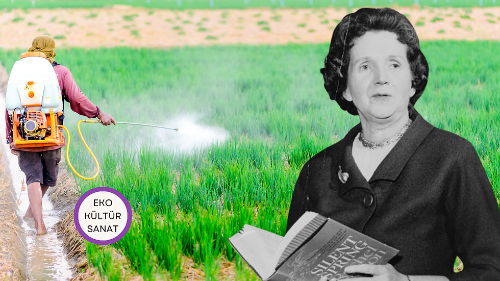 Sessiz Bahar: Rachel Carson'ın Uyandığı Kâbus ve Gezegenin Çığlığı