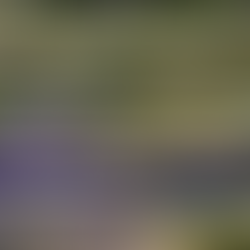 EE Sözlük: Yeşil Mimari Nedir?