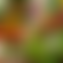 Sebzeleri Nasıl Saklamalı? Tazelik İçin Bilmeniz Gereken Her Şey!