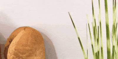 unnamed.gif