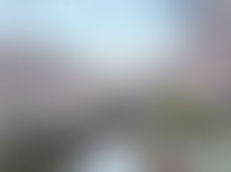 練馬区ちょっと紹介4~サクラ2025~