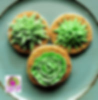 Buttercream piped succulents on sugar cookies