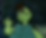 Screenshot 2026-07-12 112811.png