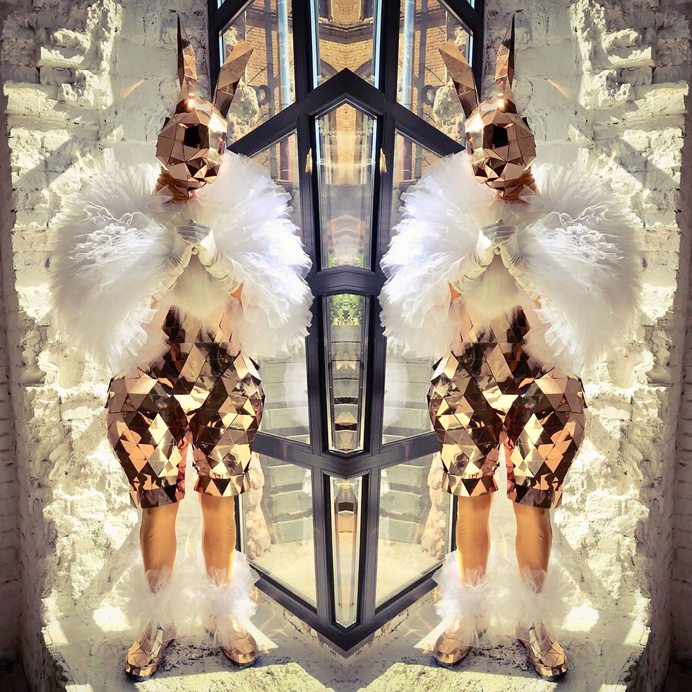 Mirror Bunnies