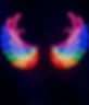 Neon wings for hire