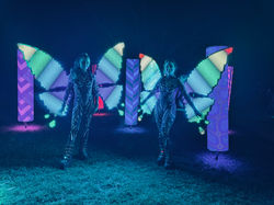 Led perrormers with Butterfly wings