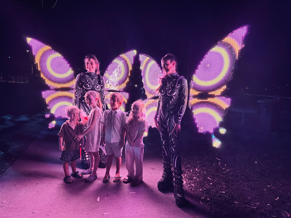 Led butterflies for light festival