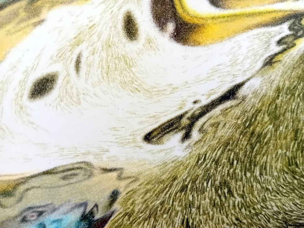 Wakeless Abyss (detail 2)