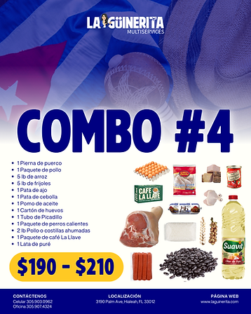 La Güinerita Multiservices Combo 4