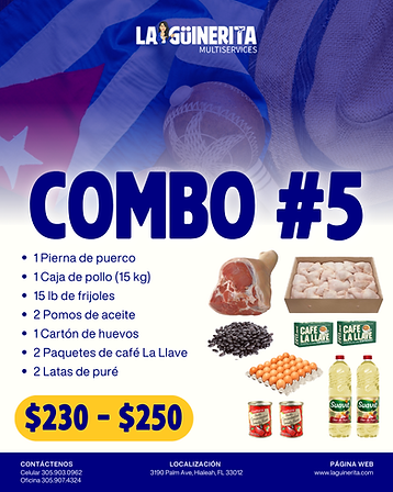La Güinerita Multiservices Combo 5