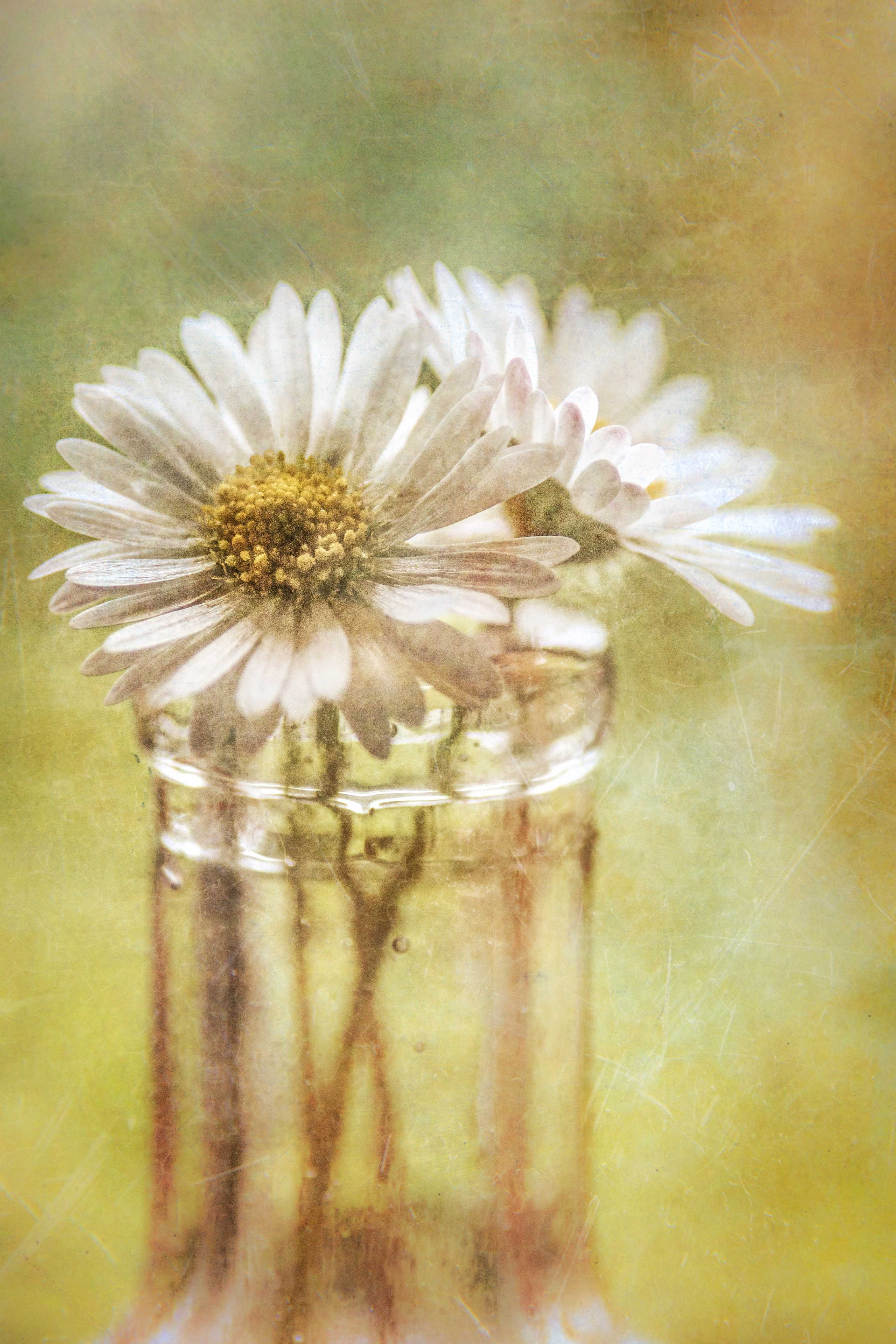 Little dreams for little days.