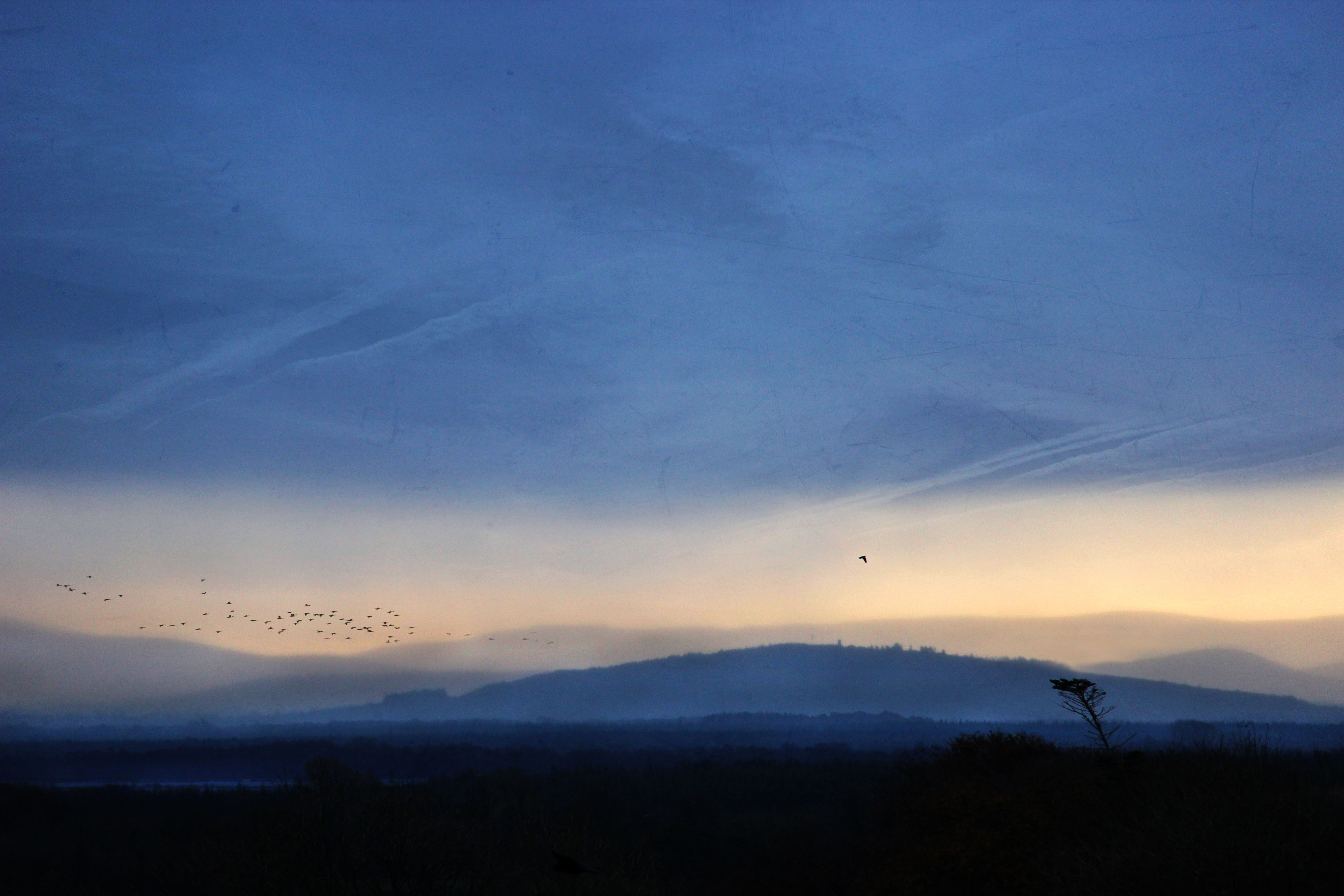 The mist upon the dawn