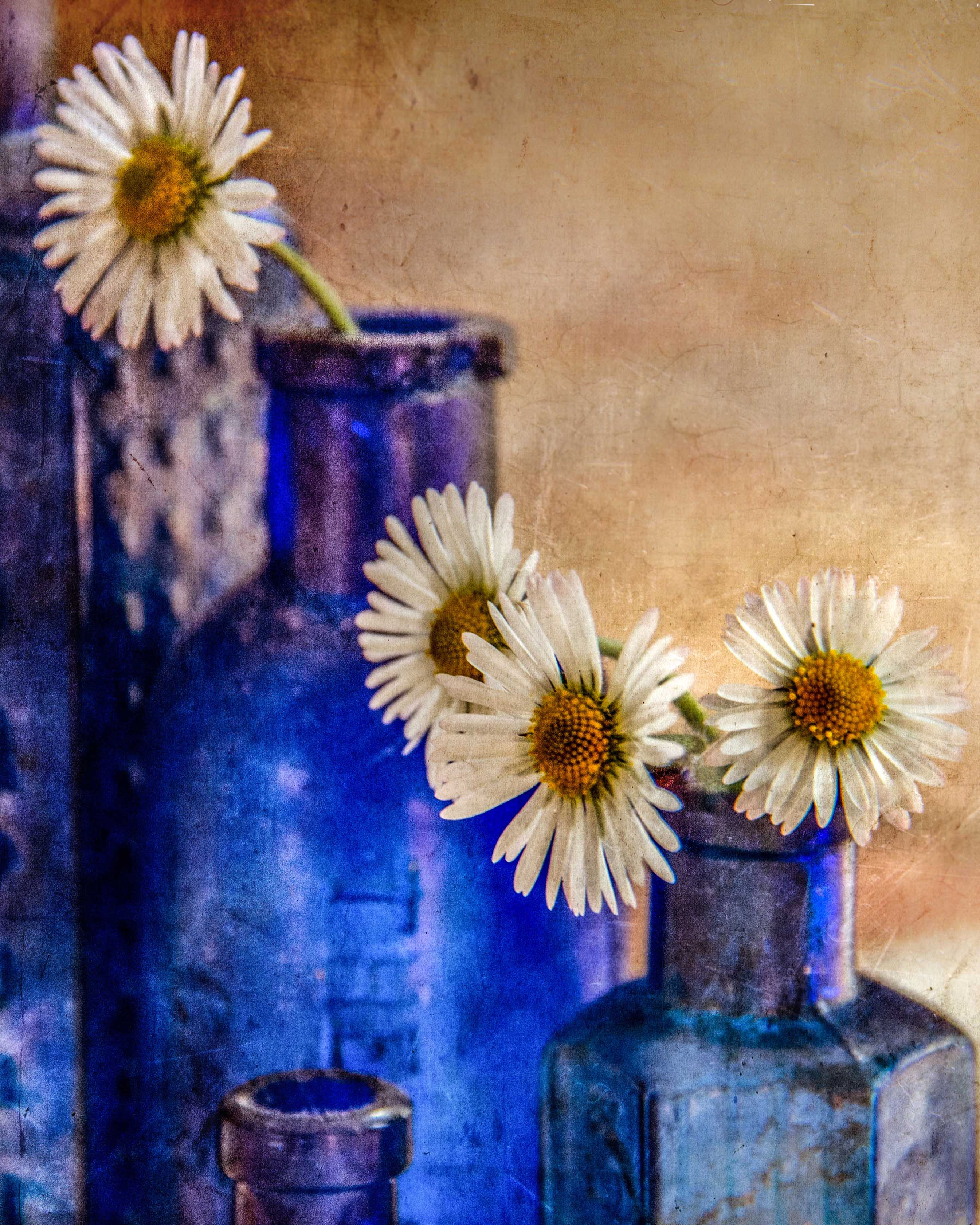 Daisies and blue.