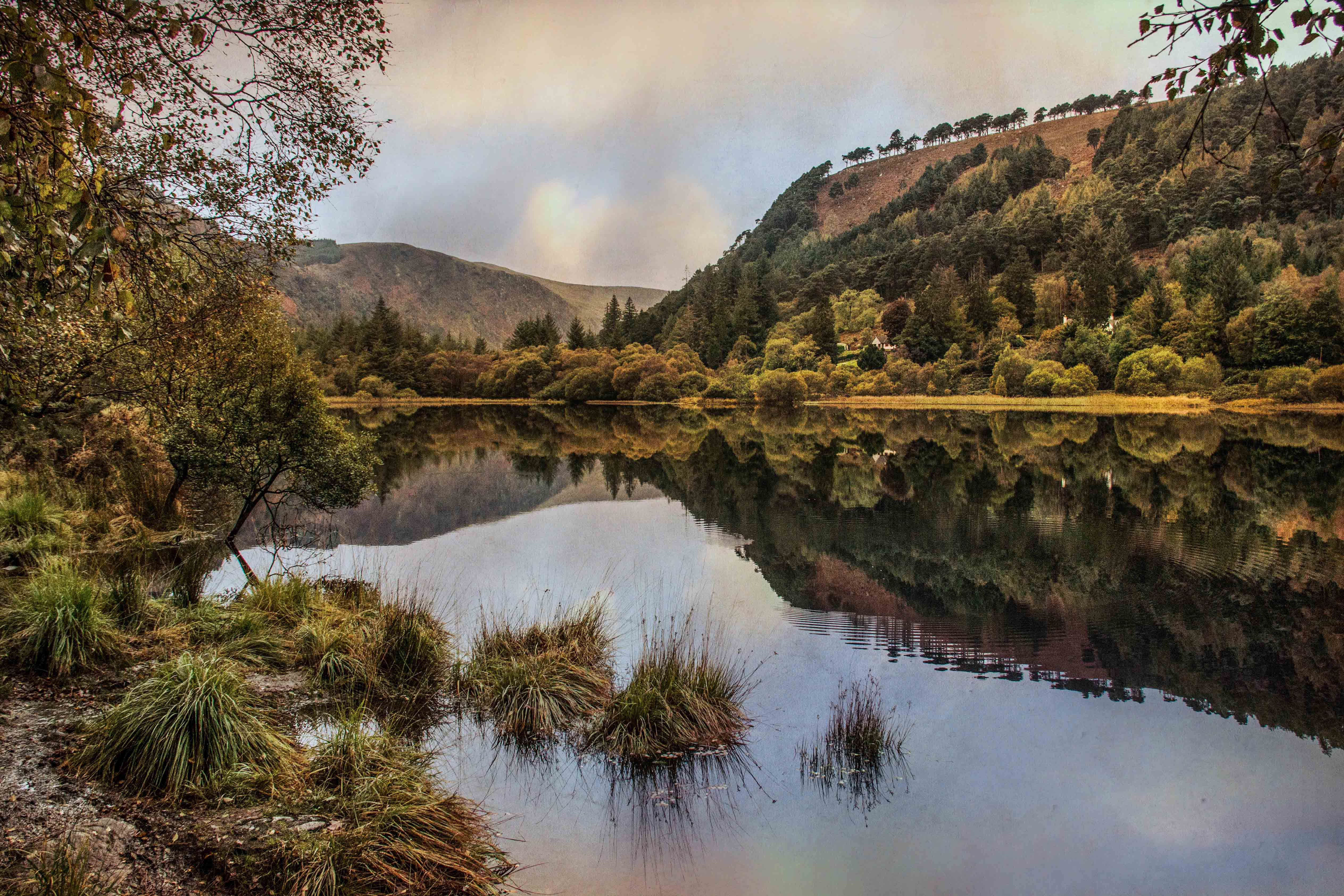 Across the lake at evening.
