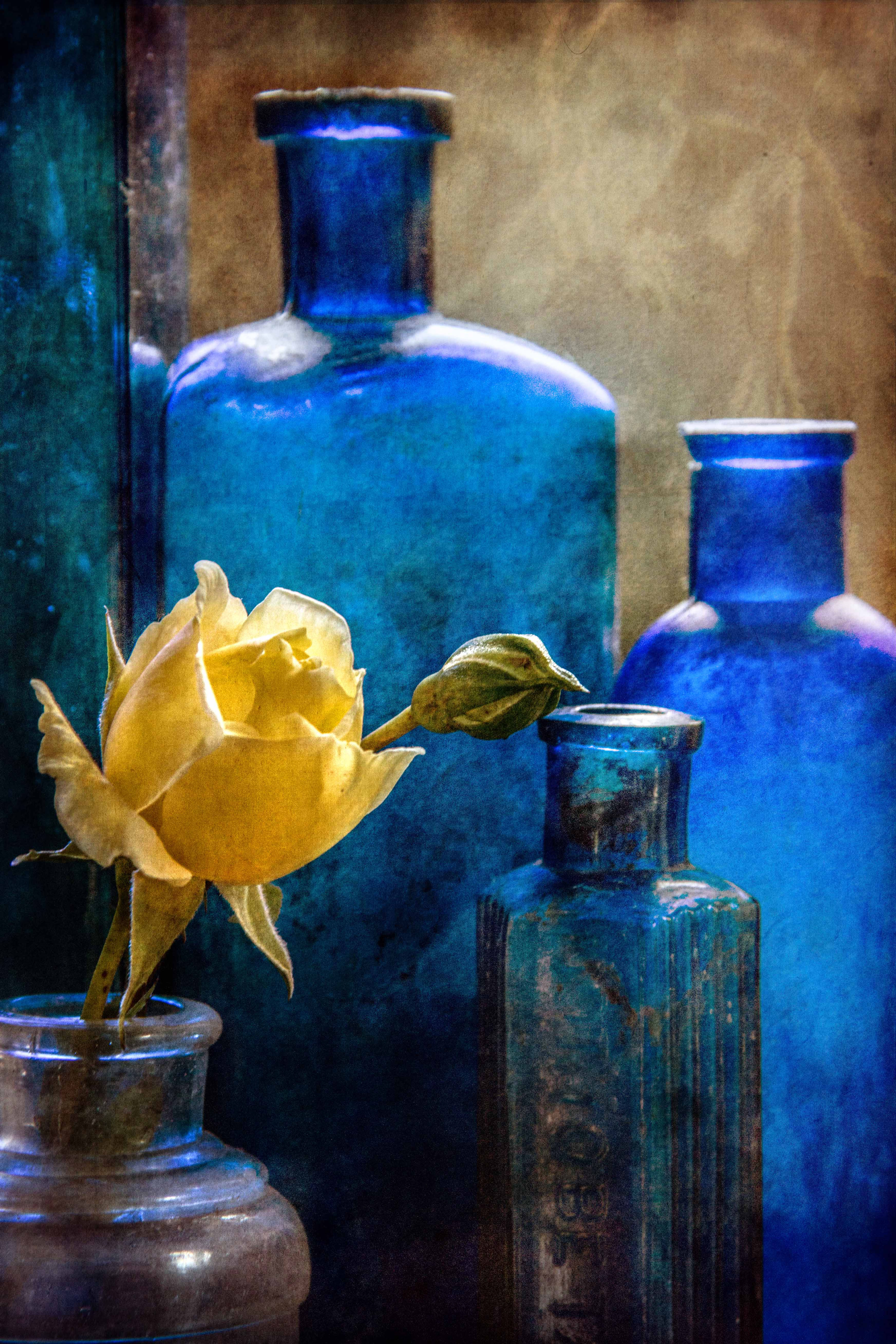 In yellow and blues.