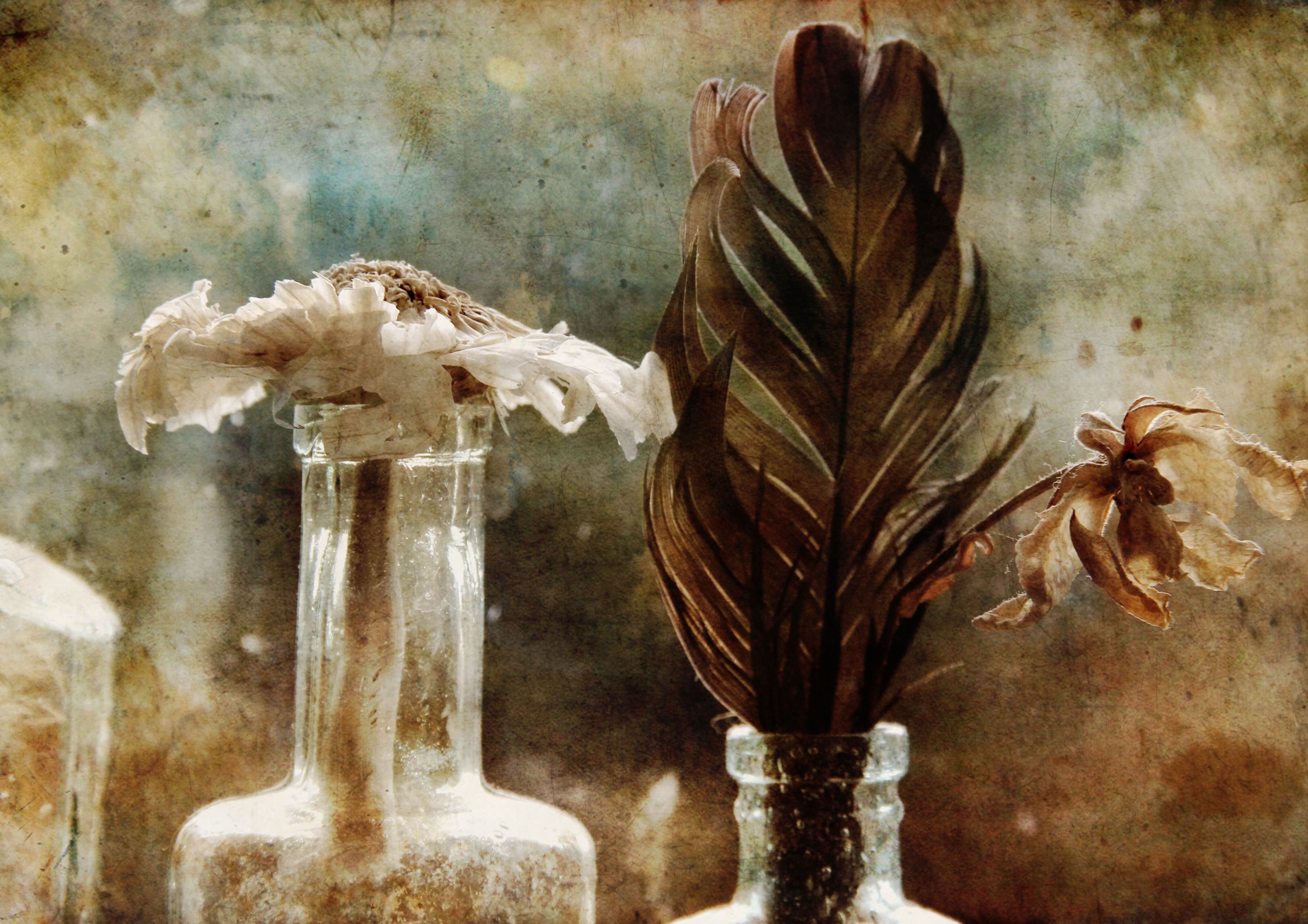 In the light of Friday ...