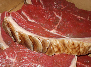dragons steak 002.jpg