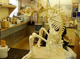 skele making off 002.jpg