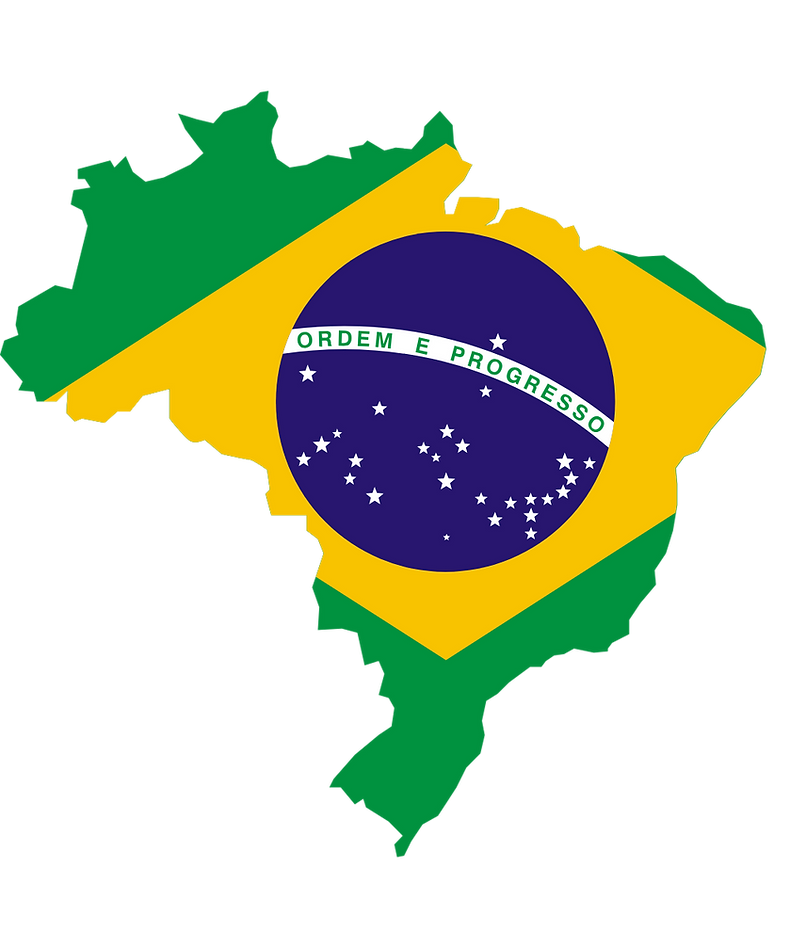 Sem nome (1200 x 800 px) (1000 x 1200 px).png