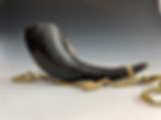Bison horn cup