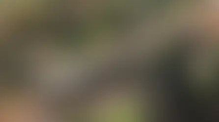 Israel Plans to Control Large Parts of Southern Lebanon, Defense Minister Says