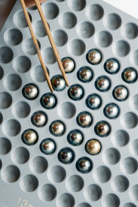 MAISON DE LA PERLE_02.jpg