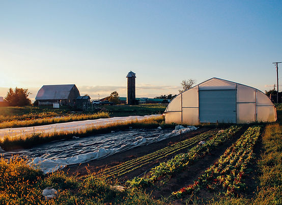 A small garden plot sits in front of a greenhouse with a barn and silo in the distance.