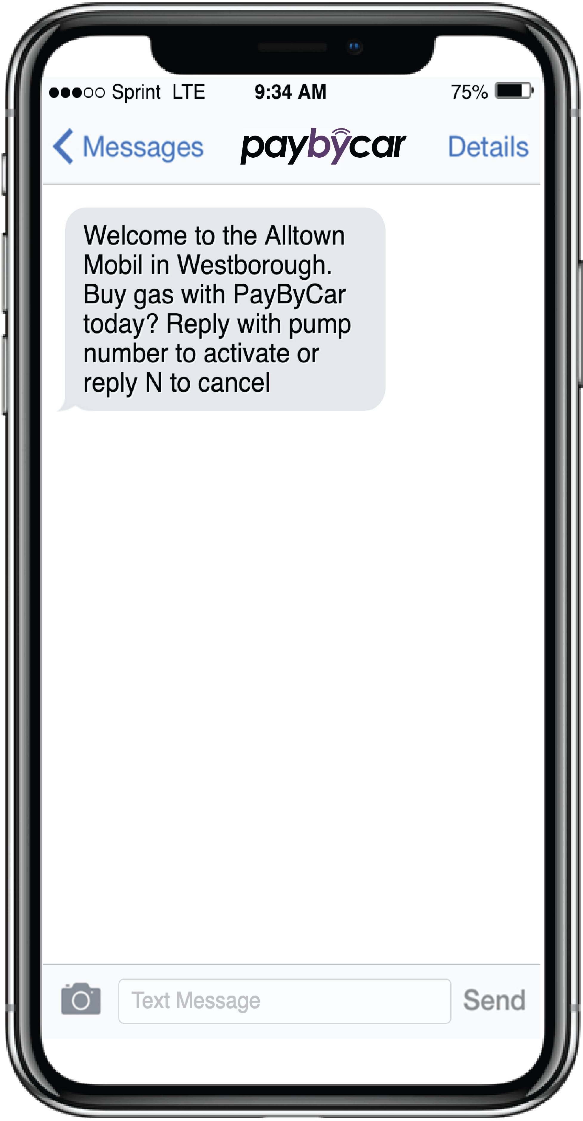PayByCarFinal.gif