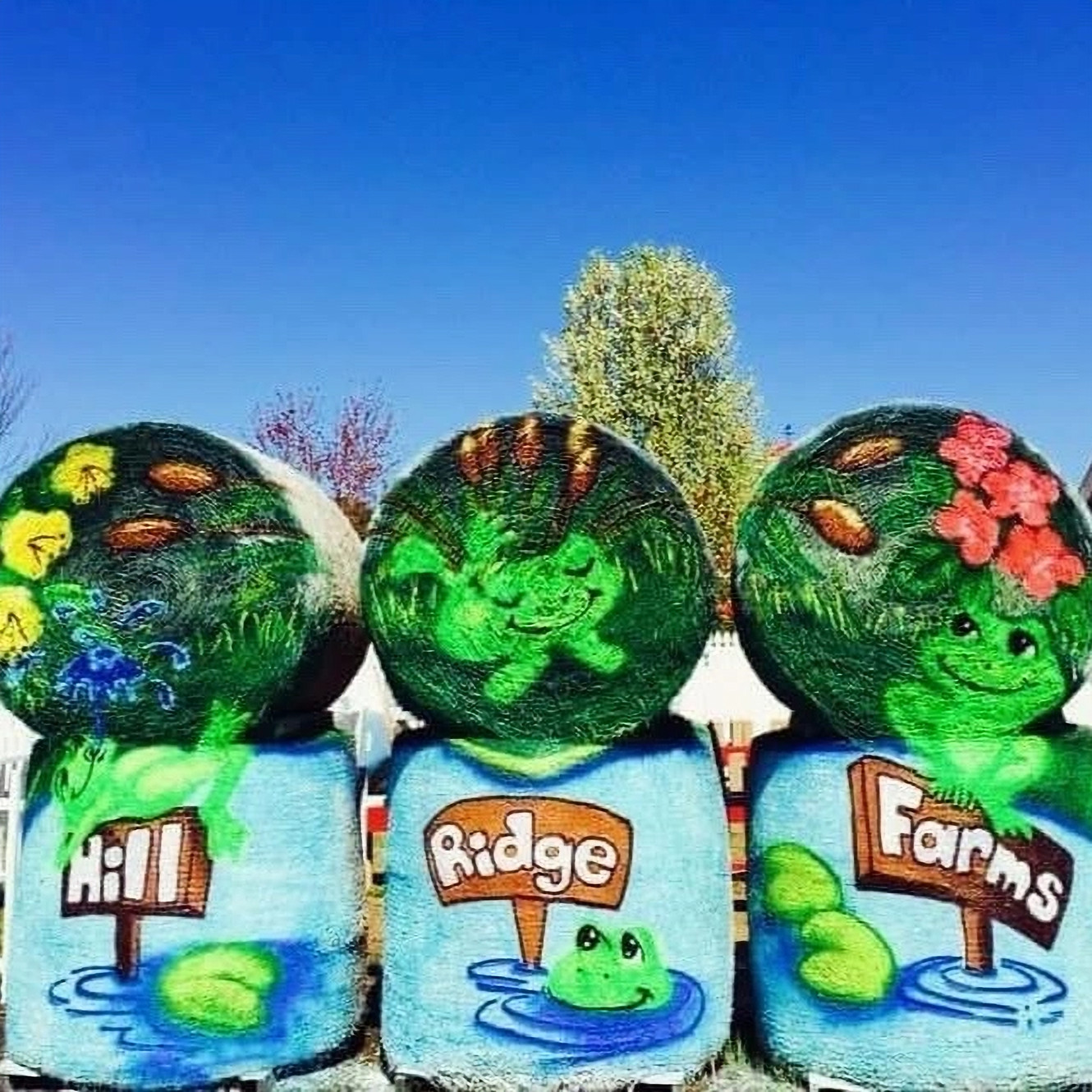 Hill Ridge Ridfe Farm Admission & Tickets | Hill Ridge Farms