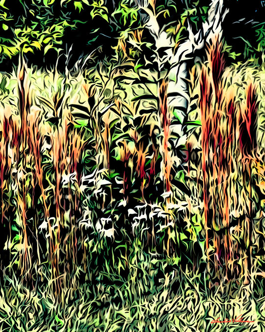 tela aerografia mato parque do sabia