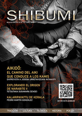 portada shibumi 78.jpg
