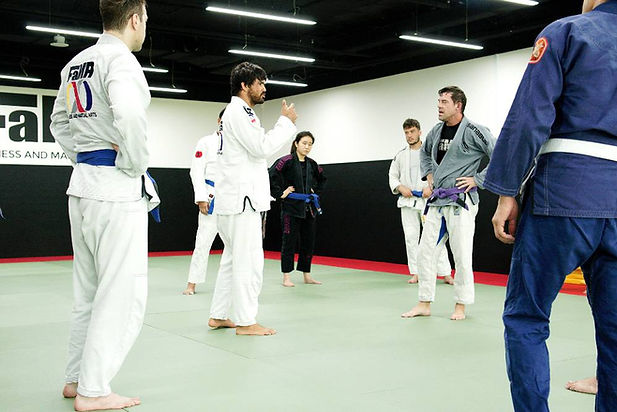 bjj-theory.jpg